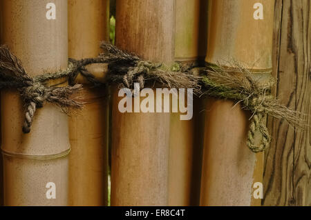 tight knot on bamboo Stock Photo