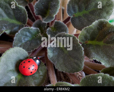artistic red ladybug upon real green leafs, view from above Stock Photo
