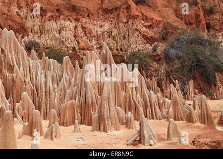 Tsingy Rouge also know as Red Tsingy which are rock formations near Antsiranana (Diego-Suarez), island of Madagascar, Africa Stock Photo