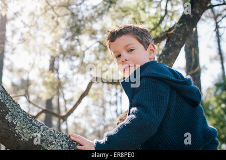 Low angle portrait of boy sitting on tree trunk in forest Stock Photo