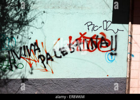 Viva Palestina / Long live Palestine graffiti on a wall in protest against Israeli military offensive in Gaza, La Paz, Bolivia Stock Photo