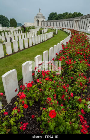 Tyne Cot Military Cemetery Stock Photo