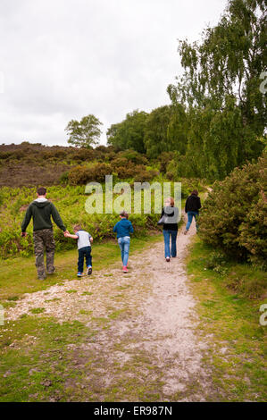 Back view of a family strolling along a row of cherry trees Stock Photo ...