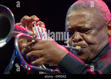 Turin, Italy, 29th May 2015. South African jazz trumpeter Hugh Masekela in concert at Torino Jazz Festival Stock Photo