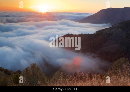 Coastal fog at sunset in Big Sur, California. Stock Photo