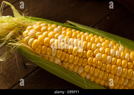 Raw Organic Yellow Seet Corn Ready to Cook Stock Photo