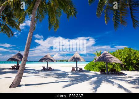 Deck chairs under umrellas and palm trees on a tropical beach Stock Photo