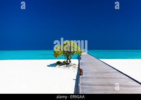 Beautiful beach with wodden jetty and single small tree in Maldives Stock Photo
