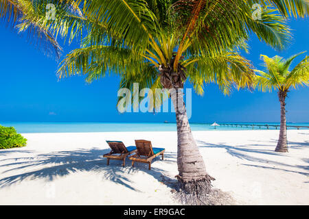 Deck chairs under umrellas and palm trees on a tropical beach Stock Photo