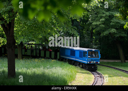 Dresden, Germany. 21st May, 2015. The EA02 engine of the Dresden Park Railway (Dresdner Parkeisenbahn) passes through the Grosser Garten in Dresden, Germany, 21 May 2015. The park railway celebrates its 65th birthday on 1 June. Photo: Arno Burgi/dpa/Alamy Live News Stock Photo