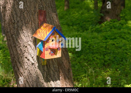 Handwork bird shelter made of chipboard and zinc in the woods during spring Stock Photo