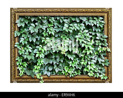 frame  with green leaves inside isolated on white background Stock Photo