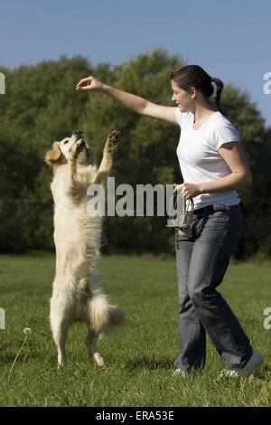 woman and Golden Retriever Stock Photo