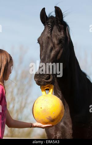 girl and Friesian horse Stock Photo