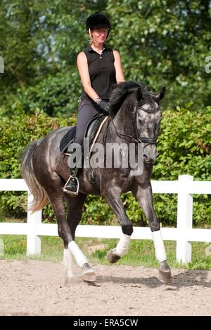 woman rides Hanoverian horse Stock Photo