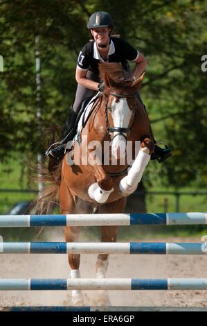 woman rides Hessian Warmblood Stock Photo