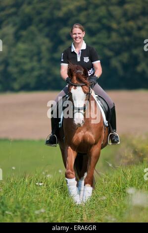 woman rides Hessian Warmblood Stock Photo