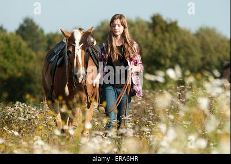 girl and Haflinger horse Stock Photo