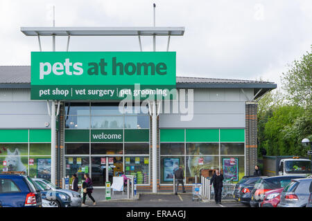 Pet shop aquarium England UK Stock Photo - Alamy