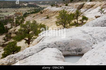 pool of rain water at top of sandstone bluff at El Morro National Monument New Mexico - USA Stock Photo