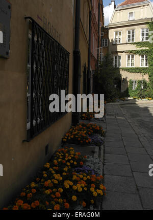 Portrait shot flower beds with orange geraniums in front of townhouses to 'Narrowest Tenement in Europe', Plac Kanonia, Warsaw Stock Photo
