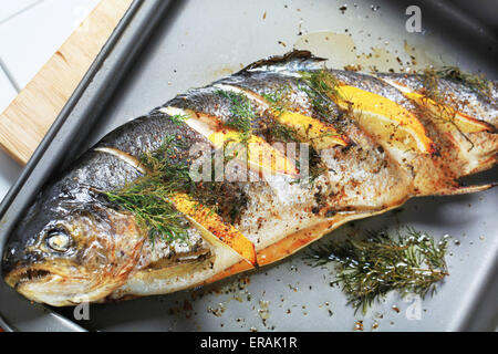 Oven baked trout stuffed with lemon and dill Stock Photo