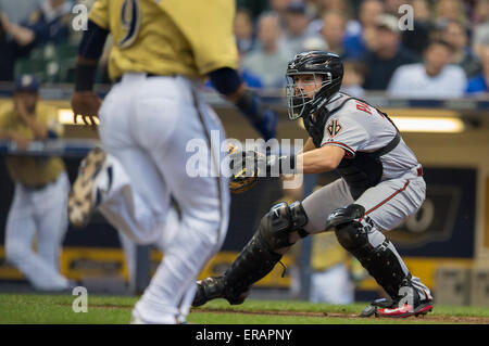 Milwaukee, WI, USA. 30th May, 2015. Arizona Diamondbacks catcher Jordan Pacheco #31 during game action in the Major League Baseball game between the Milwaukee Brewers and the Arizona Diamondbacks at Miller Park in Milwaukee, WI. John Fisher/CSM/Alamy Live News Stock Photo