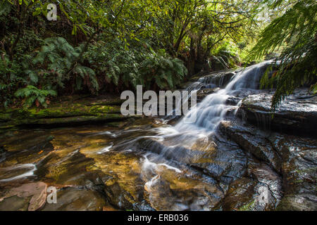 Leura Falls, Blue Mountains, Australia. Stock Photo