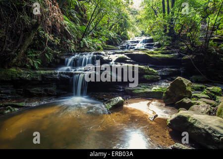 Leura Falls, Blue Mountains, Australia. Stock Photo