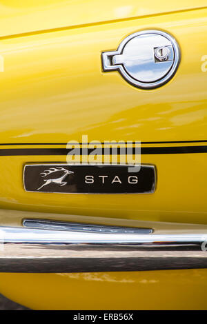 Stag badge on yellow Stag car Stock Photo