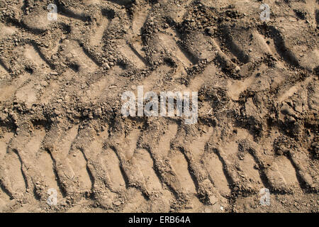 Tractor tyre treadmarks in soil on headland in arable field, UK. Stock Photo