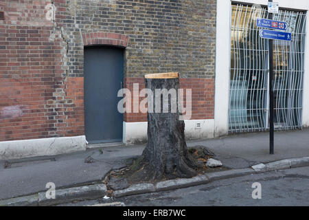 Tree stump growing out of the pavement in Borough, London, UK. The tree has been cut down and is set to be removed as it is crea Stock Photo