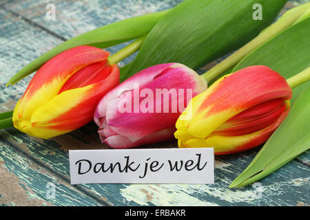 Dank je wel (which means thank you in Dutch) card with colorful tulips Stock Photo