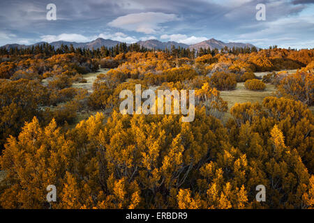 Mountains near Te Anau as seen from the Wilderness Area Scientific Reserve Stock Photo