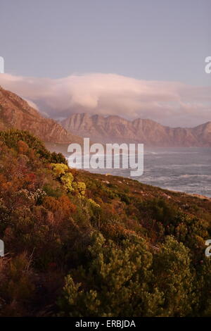 Hangklip at sunset, with coastal fynbos bushes in the foreground Stock Photo
