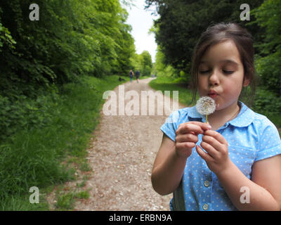 A young girl in a country park blowing a dandelion Stock Photo