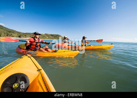 Seawater kayaking is a popular activity for visitors to far north Queensland, Australia. Stock Photo