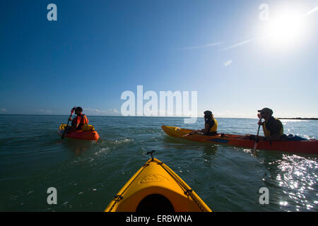 Seawater kayaking is a popular activity for visitors to far north Queensland, Australia. Stock Photo