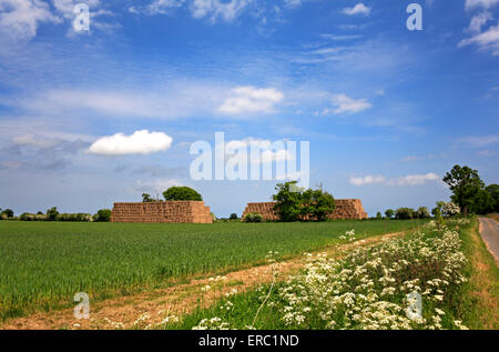 A farmland scene with two large straw stacks at limpenhoe, Norfolk, England, United Kingdom. Stock Photo