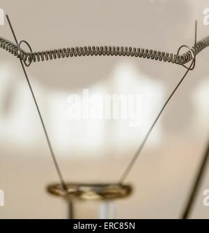 Coiled filament of an incandescent electric light bulb, turned off. Stock Photo