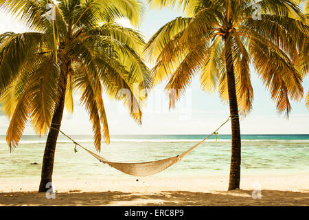 Hammock between two palm trees on the beach during sunset time Stock Photo