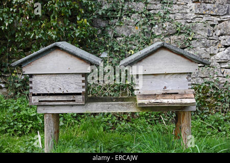 Beehives, with bees flying in and out Stock Photo