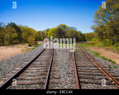Diverging Railroad tracks Stock Photo - Alamy