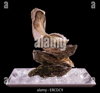 Four oyster shell on ice as balance stack, black background Stock Photo