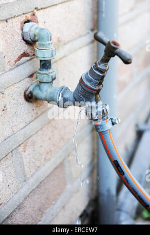 Water wasted drips from garden hose on tap Stock Photo