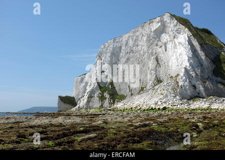 Whitecliff Bay beach near Bembridge on the Isle of Wight Stock Photo