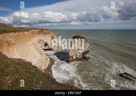 Dramatic coastline at Freshwater Bay and Cliffs on the Isle of Wight UK Stock Photo