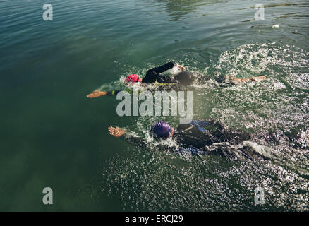 View of swimmers in water. Triathlon participants practicing for swim event. Stock Photo