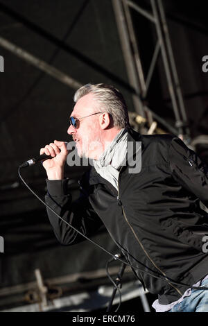 The Undertones at the Wychwood Music festival2015 in Cheltenham Gloucestershire England Stock Photo