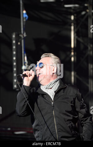 The Undertones at the Wychwood Music festival2015 in Cheltenham Gloucestershire England Stock Photo